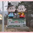 백곡초등학교 Daum카페