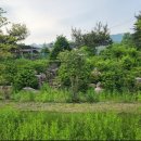 청산한옥계곡펜션 이미지