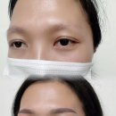 꼼꼼한영이씨뷰티