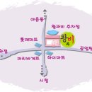왕과비한복