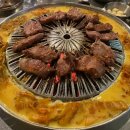 장수갈매기 이미지