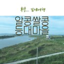 알콩쌀콩 등대마을 네이버블로그