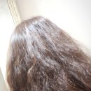 토리헤어(주안점) 이미지