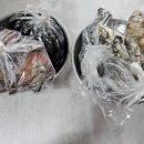 제철로 | 제철 수산물 맛집 오계절 수산 겨울 제철 해산물 요리 후기(굴,꼬막)