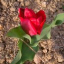 다윗농장 이미지