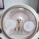 두복 이미지