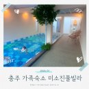 복성빌라 | 충주댐숙소 가성비 가족 숙소 추천 미소진풀빌라