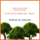 건강멘탈연구소 이미지