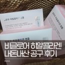 비글로어 히알콜라겐 앰플 내돈내산 윤윤데 공구 후기