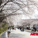 청풍면사무소 앞 이미지