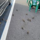 반도방앗간 | 제주 성산 섭지코지 후기｜걷는 내내 발걸음을 멈추고 사진을 찍게 만든 곳