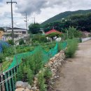 동산천 이미지