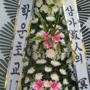 학운초교 이미지