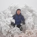 황창석 이미지