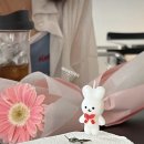 마이데이케이크 이미지