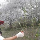 골말농장 이미지