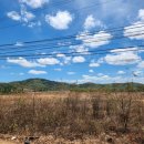 바이오농장 이미지