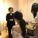 파인트리비즈