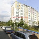 솔밭부동산 공인중개사사무소 이미지