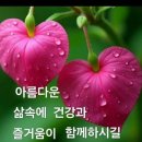 가을마중 // Can't help Fulling in love/노래:엘비스 프레슬리 이미지