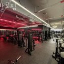 카발로 짐 | 도안동헬스장 서구 대전 헬스 PT pt 피티 카발로짐 가격 위치 주차 후기