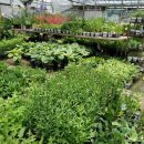 주암동농장 이미지