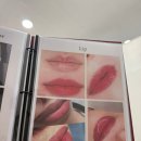 새힘컨설팅 | [명동입술컨설팅]명동 입술/눈썹 컨설팅 맛집 ‘하츠’에서 인생 입술 찾고 온 솔직 후기