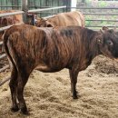 용촌농장 이미지