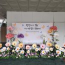 서울가인초등학교 이미지