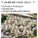 싱싱한 통영 생굴이~~~ 이미지