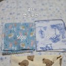 양찬수스트링