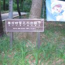 경충대로2709번길 이미지