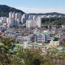 기업NH공인중개사사무소 이미지
