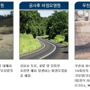 블루그린링크(주) Daum카페