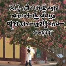 이치발 이미지