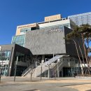 나성전기 | [세종 나성동] 스칼프리온 나성점 셀피어스 세종탈모 두피관리 후기