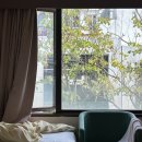 마루호스텔 | 홍콩 가성비 숙소 추천 YHA 메이호 하우스 유스호스텔 10만원대