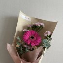 [양산 물금 꽃집 - 오늘도 꽃] 양산 꽃다발 예약 방법, 내돈내산 후기