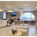 광안리동백나무치과의원 | [광안리동백나무치과의원]효과적인 치아관리: 천연 치약 사용과 세균 균형 유지 방법