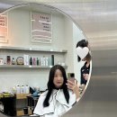 동대구카클리닉 | 대구 신천동 미용실 sf헤어 동대구점 밀본클리닉 레이어드컷 찐 후기