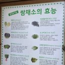 시골생삼겹우렁쌈밥