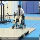 턱·계단 '척척' 넘는 휠체어 로봇 개발 이미지