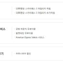 스카이플래티늄항공 이미지