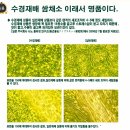 대실농장 이미지