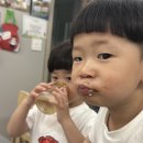 오빠네과일 이미지