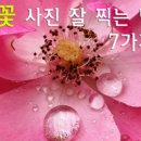 스마트폰으로 감성사진찍기 이미지