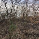 예스부동산중개주식회사 이미지