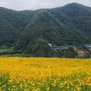 도담정원 이미지