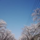 청산이용원