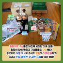 강남세움보호작업장 이미지